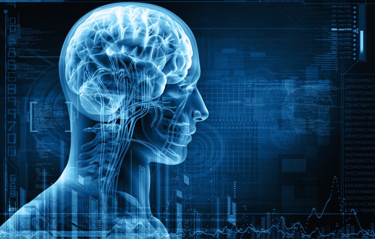 glympathic-system Research scientists have identified the glympathic system as the area of the brain that is flushed from toxins during sleep.